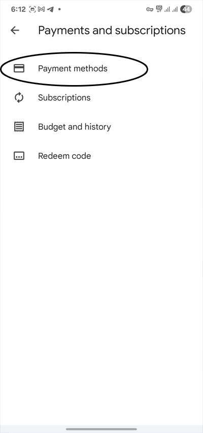 Roblox VNG Not Available 