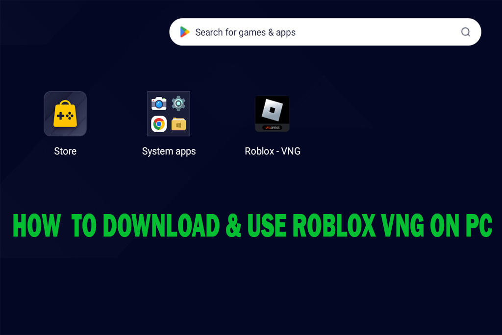 Roblox VNG PC